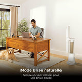 Shark TurboBlade Ventilateur colonne - gobonplan