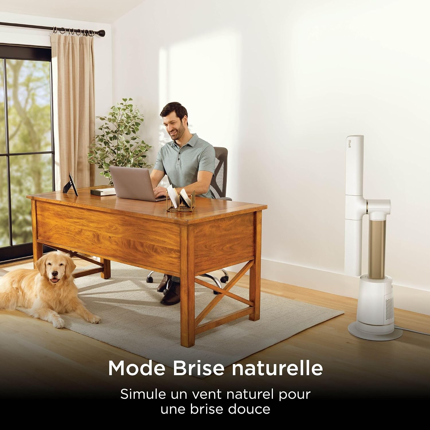 Shark TurboBlade Ventilateur colonne - gobonplan
